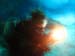 IMG_0104