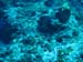 IMG_0130