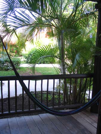 IMG_0545