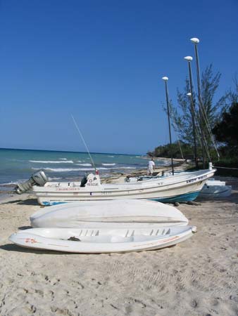 IMG_0731