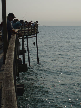 P1010054