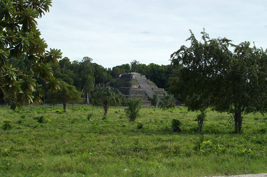 DCP_0462
