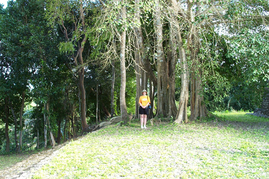 DCP_0472