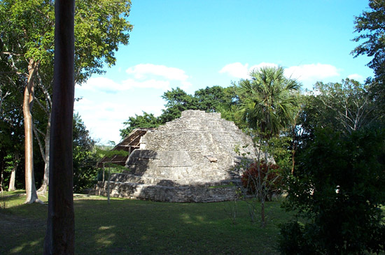DCP_0474