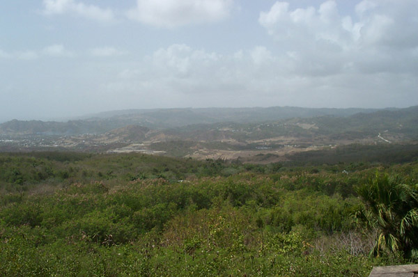 DCP_0977