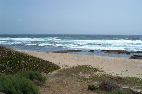 DCP_0979