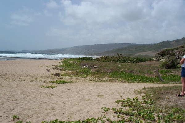 DCP_0980