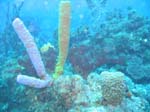 IMG_0198