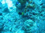 IMG_0201