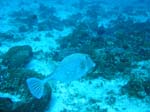 IMG_0261