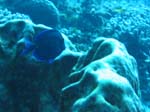 IMG_0267