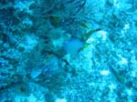 IMG_0279