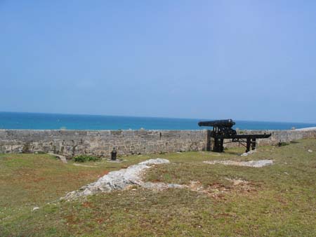 IMG_0398