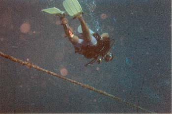 Dive1-00