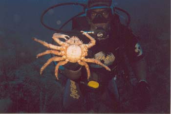 Dive1-04