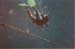 Dive1-00
