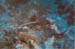 Dive1-09