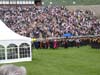 graduation 069